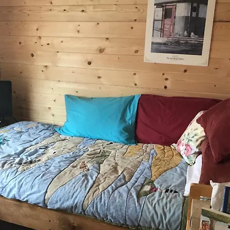 Homestead Cabin Homer Esterno foto